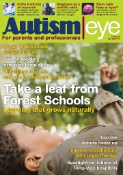AE-33-Cover-large AE-33-Cover-large