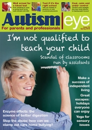 cover-issue29 cover-issue29