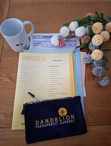 At Dandelion Therapeutic Support, we understand that everyone can face their own unique challenges - developmental, acquired or emotional.