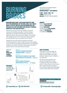 Burning Bridges by Amy Schindler