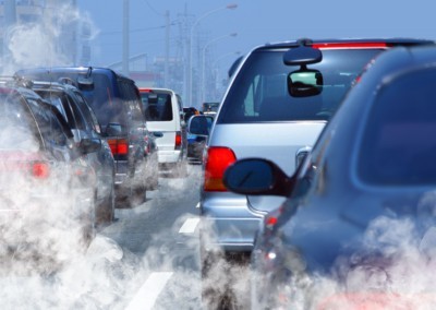 Study points to role of air pollution in autism