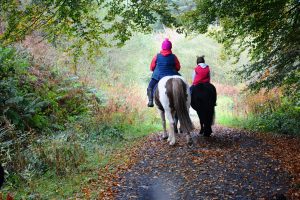 ‘Adventure sports’ and ‘disability’ aren’t phrases that are often associated with each other, but at Calvert Trust Exmoor accessible activity adventures are the norm.