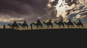 Go Beyond Holidays