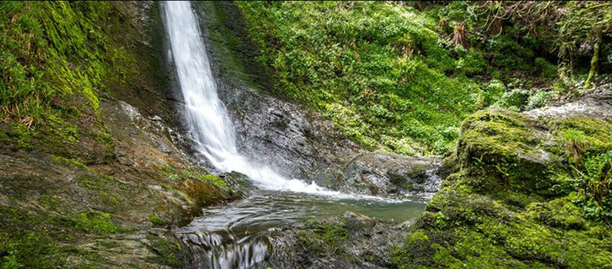 Go Beyond Discover a Different Dartmoor