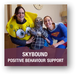 Skybound Therapies provides intervention programmes which can include any combination of Applied Behaviour Analysis , Verbal Behaviour , Speech and Language Therapy, Occupational Therapy and Positive Behaviour Support.