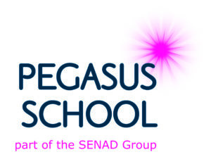 The SENAD Group