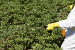 Evidence mounts against pesticides