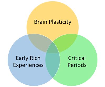 What has changed in the field of early diagnosis & intervention for ASD?