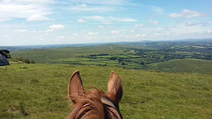 Go Beyond Discover a Different Dartmoor