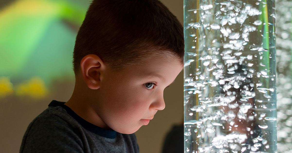 Understanding Sensory Processing Disorder