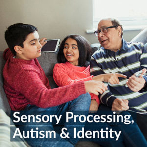 sensory integration education