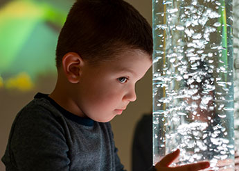 Understanding Sensory Processing Disorder