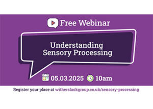 sensory processing