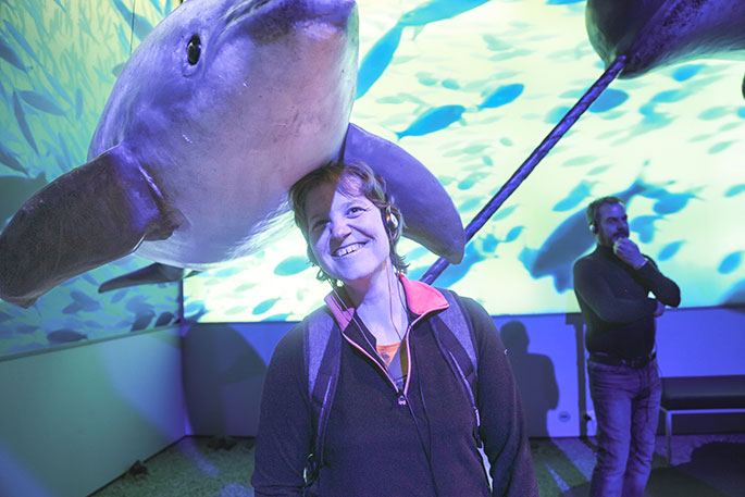 Go Beyond in the Whale Museum in Reykjavik, Iceland