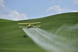 Study points to risk from anti-mosquito pesticides